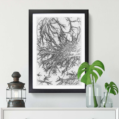 Tree Branches in Central Park New York in Abstract - Picture Frame Graphic Art Print