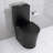 Matte Black Elongated One Piece Toilet Dual Flush 1.1/1.6 GPF Water Saving Map 1000G,Matte Black-124934879