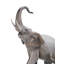 Figurine éléphants qui marchent
