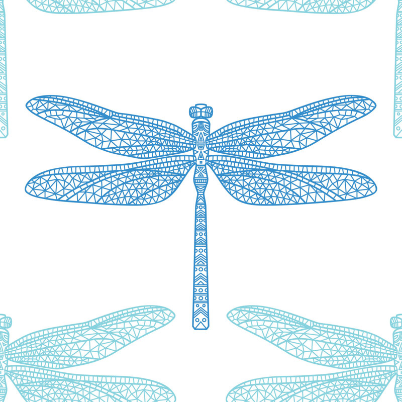 Gosford Dragonfly by Bel_ka - Wrapped Canvas Print, 30cm H x 30cm W 3.8cm D