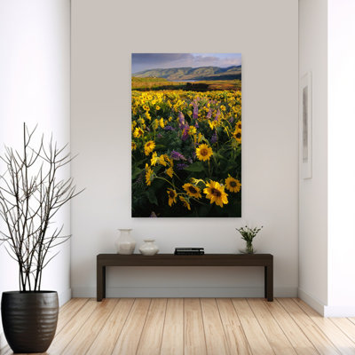 Landscape With Yellow Balsam Root And Purple Lupine Flowers, Tom Mccall Preserve, Oregon, Usa Contemporary Flower Wall Art