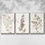Neutral Botanical Study IV 3 pièces-97711579-97711580
