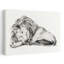 Lion couché, rétro, rétro, art mural-2011621160