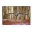 « great gray hibou », reproduction de photo sur toile tendue-22373848