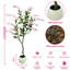 Plant-631875356