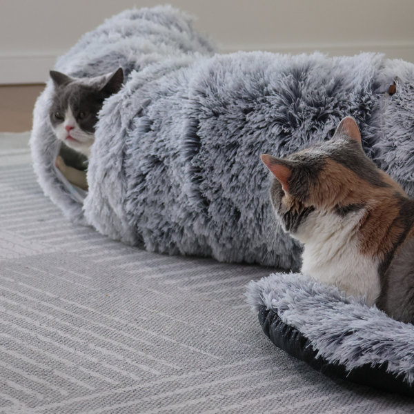 Archie & Oscar™ Cat Tunnel With Cat Bed For Indoor Cats ...