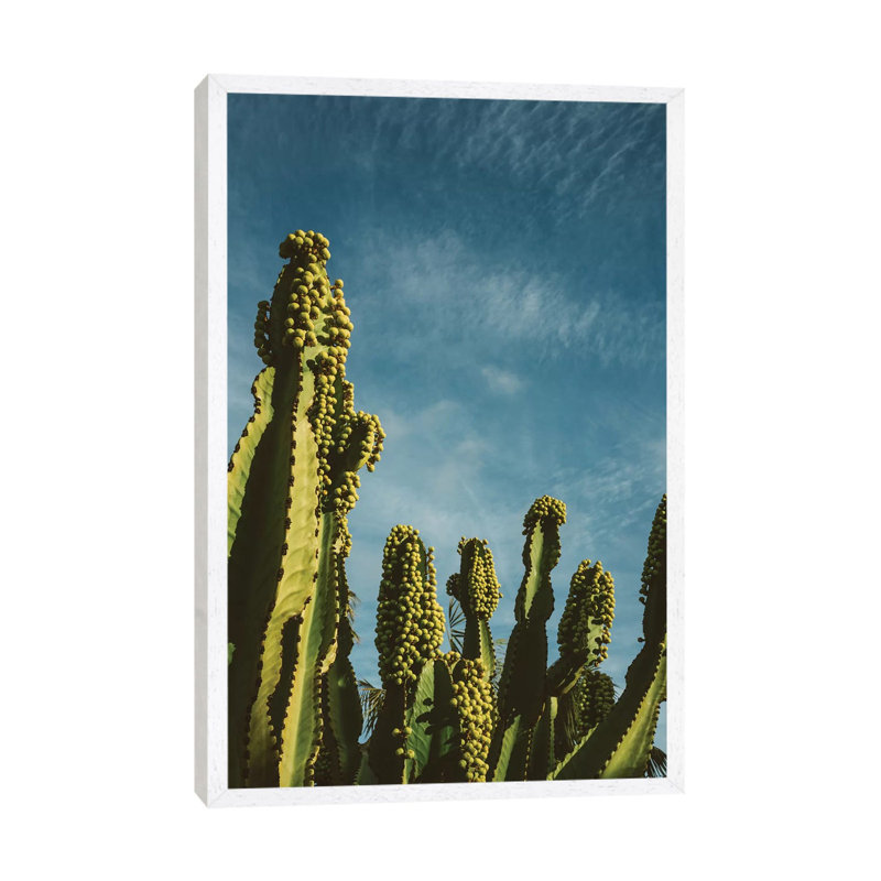 Reach For The Sky by Bethany Young - Print on Canvas, White Framed, 66.04cm H x 45.72cm W x 3.81cm D