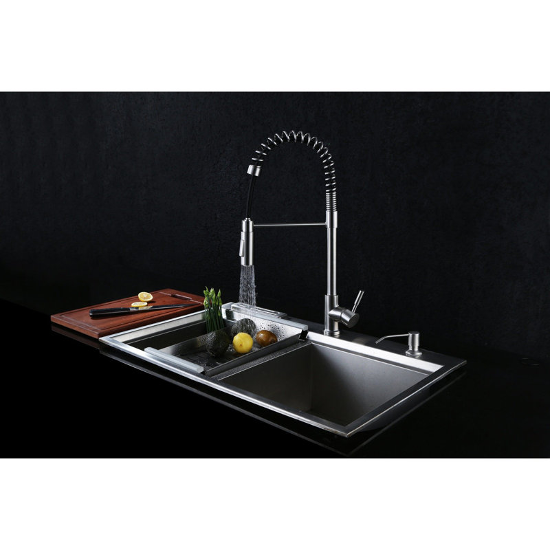 RAEN Orchid Pull Out Kitchen Faucet