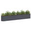 Raised Garden Bed-288469116-288469070