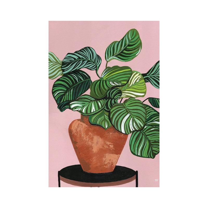 Impression d’art graphique Calatheas par Bria Nicole, H 18 po x l 12 po x 1,5 po, Toile tendue, Pas de tapis