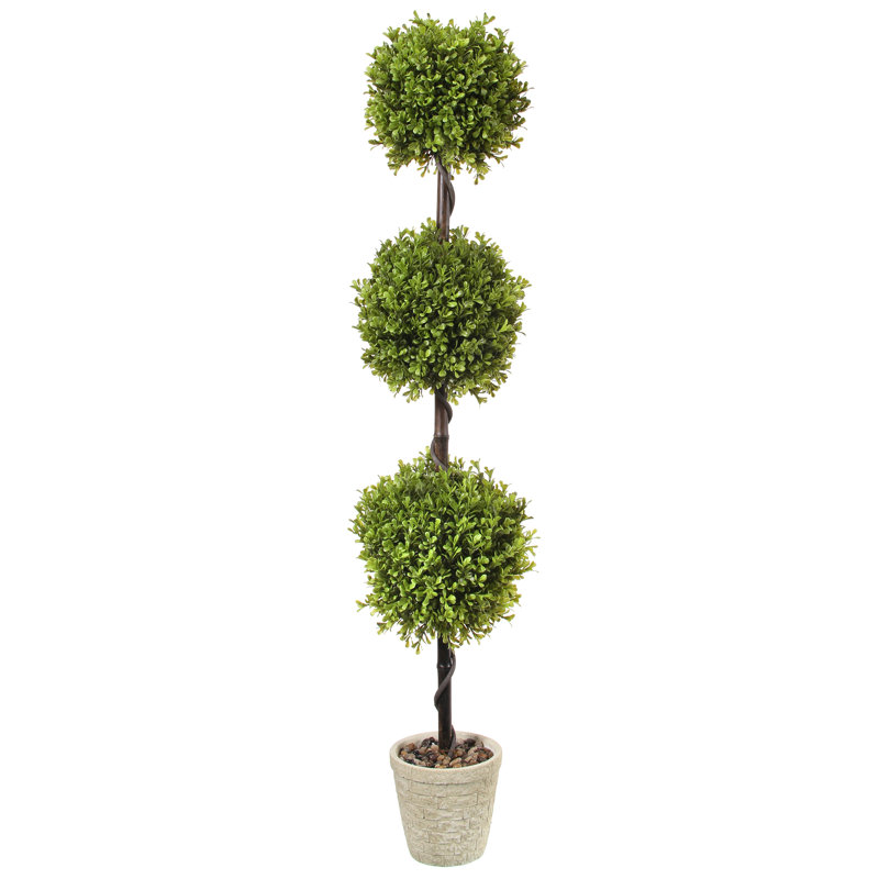 Topiaire de printemps buis en pot