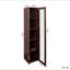 Vitrine avec portes en plaque d'acrylique transparente, armoire de rangement Curio avec 5 tablettes, bibliothèque avec lumières DEL