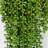 Artificial Succulents Hanging Faux Plants Fake String of Pearls-68247054