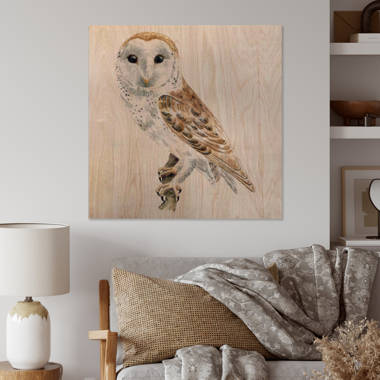 Large Owl Plushie / Choose Between Screech Owl or Barn Owl / Owl
