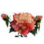 Plastic, Silk Artificial Arrangement-88685027