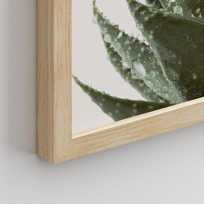 «Green Cactus Succulent Raindrop Water Droplet» sur papier, Naturel, H 14 po x l 11 po