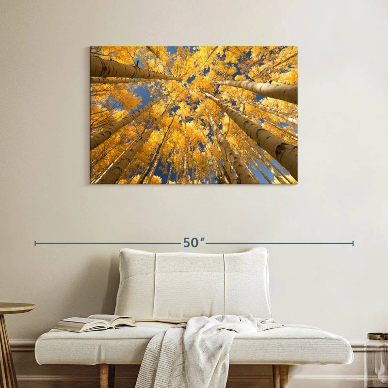 Harnek Golden Aspen Canopy