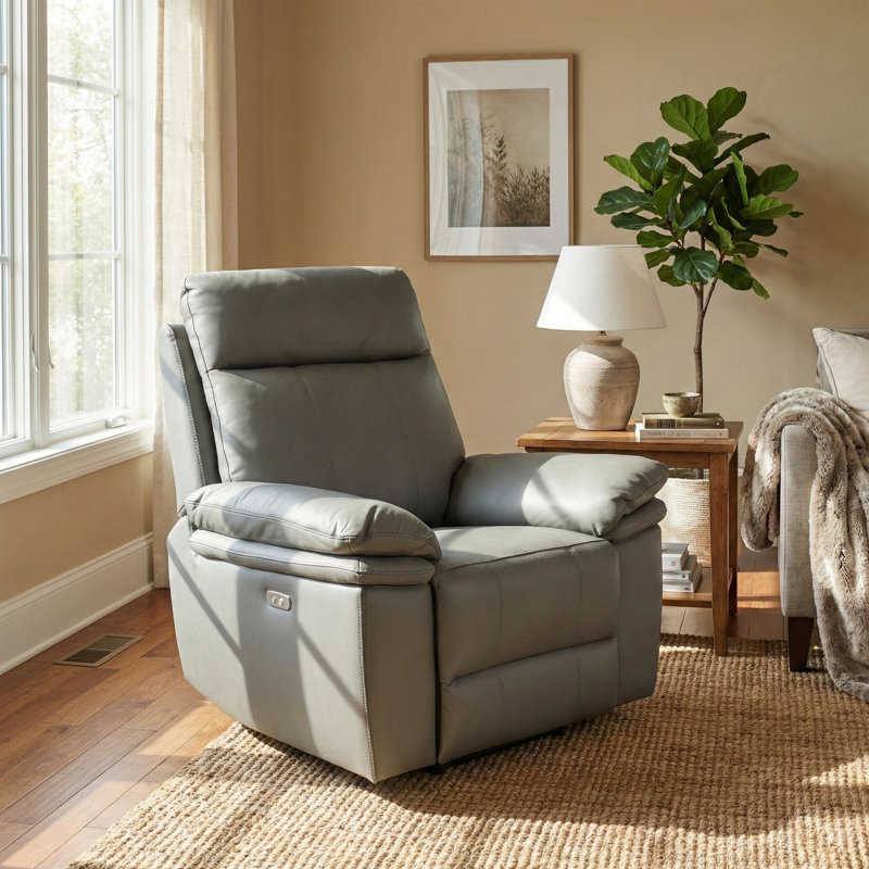 Cooney 99cm Wide Standard Recliner, Gray