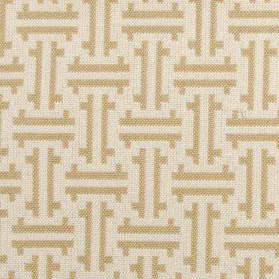 Eileen Kathryn Boyd Fabric, Sand