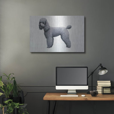 "Caniche" par Harro Maass