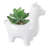 4.75'' Faux Onion Grass Succulent in Ceramic Pot-29083613