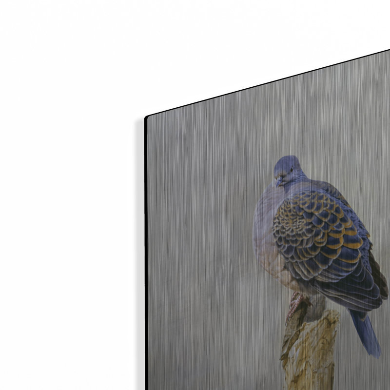 " Turtle Dove " by Joh Naito, 24" H x 16" W