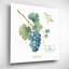 «My Greenhouse Fruit III» par Lisa Audit-1625122704