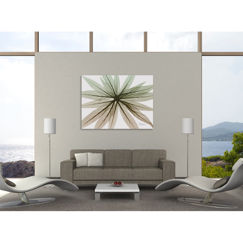 «Earthy Echium», toile tendue par Albert Koetsier, H 15 po x l 20 po x P 1,5 po