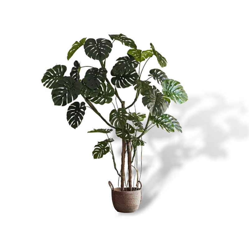 Grande plante de bambou verte à l'arrière, H 70,87 po x l 12,60 po x P 12,60 po