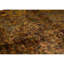 Wool Oriental Area Rug