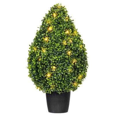Buisson en forme de goutte de buis en forme de buisson