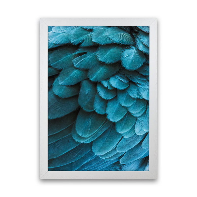 Blue Feathers by Victoria Frost - Print, White Framed, 46cm H x 34cm W x 3cm D