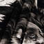 Tapisserie murale «Big Cats»-133648255