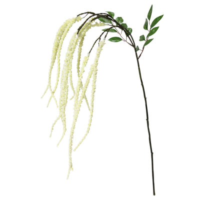 Tige de fleur d'amaranthe