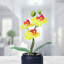 Petite plante artificielle orchidée rose d'intérieur, 9 pouces, 3 cm-98389295-98389294