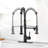 Fapully Pull Down Kitchen Faucet