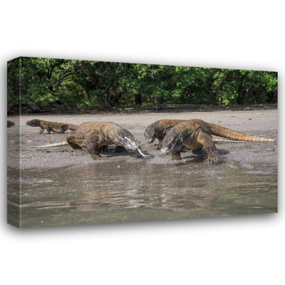 Shimlock, galerie d'art Jones, Indonésie, île de Rinca, parc national de Komodo, dragon de Komodo