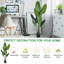 63.6 " H Faux Tree in Plastic and Cement Pot