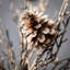 Twig Stem
