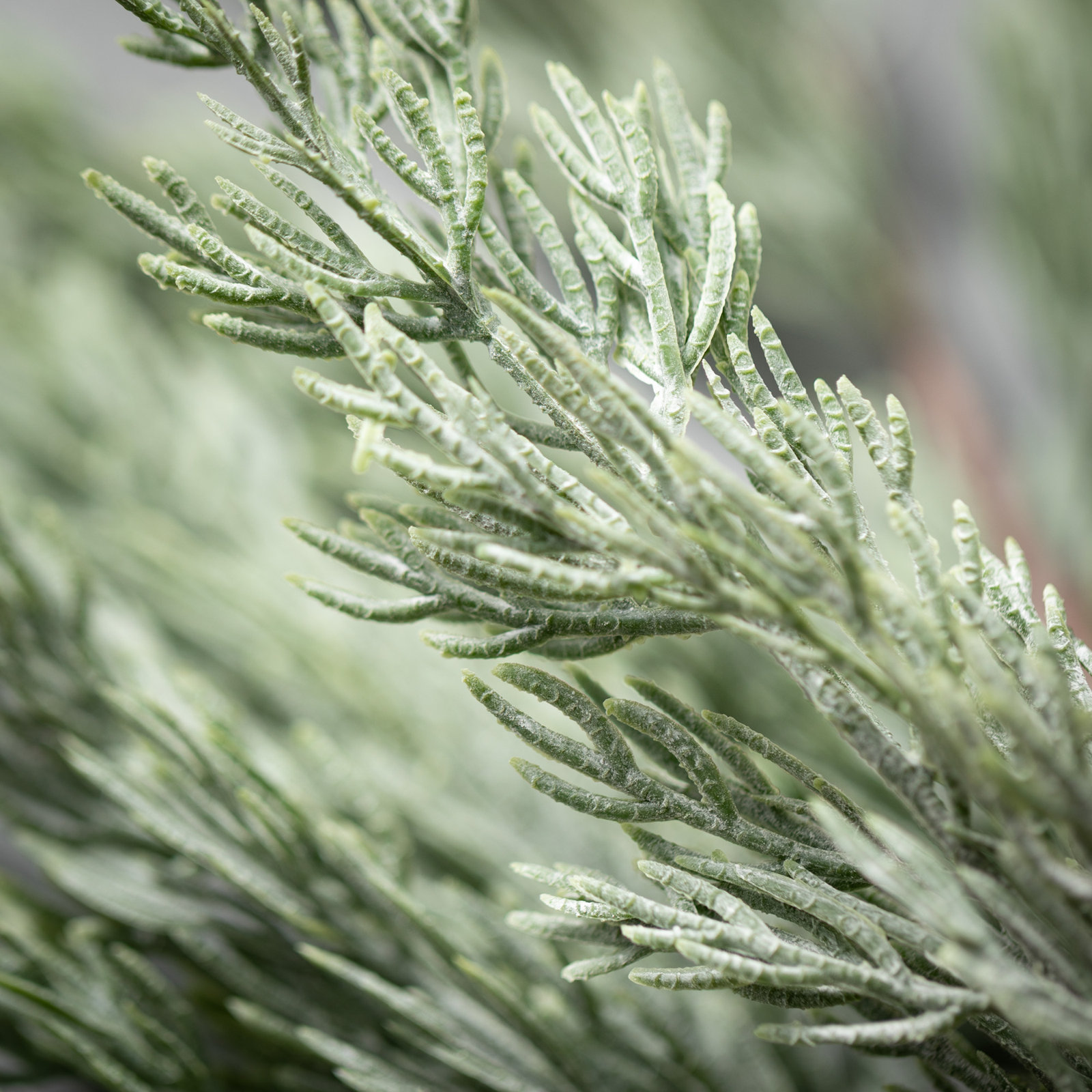 Pine Floral Stems