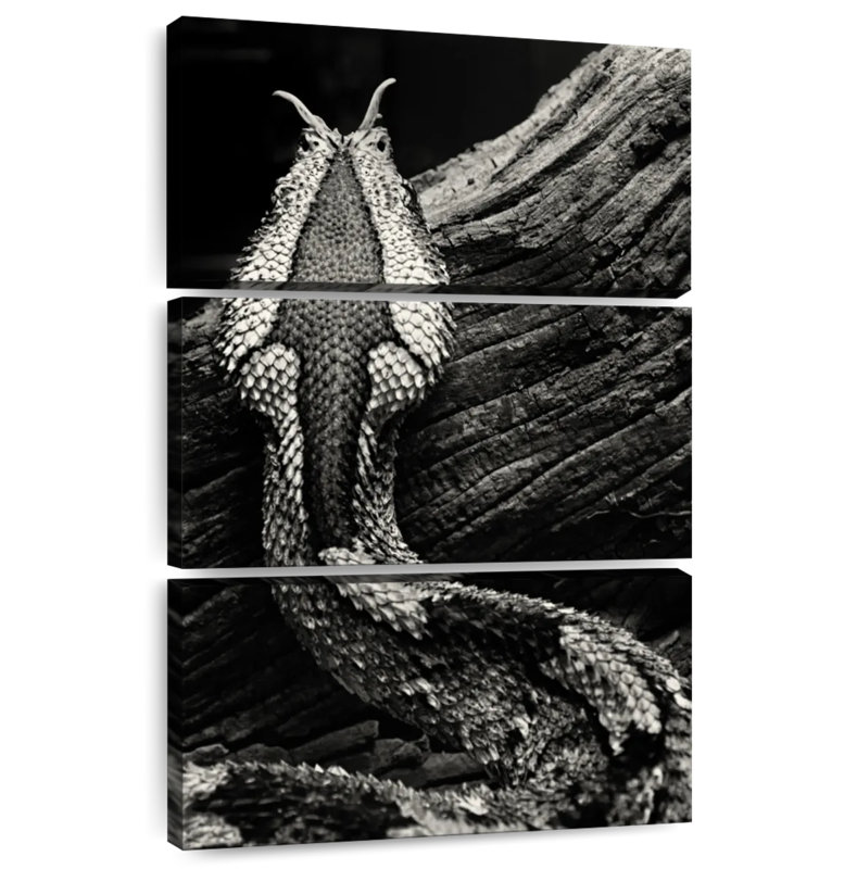Brampt Monochrome Snake Markings, 65" H x 42" W