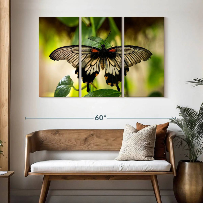 Brampt Monarch Butterfly, 32" H x 50" W
