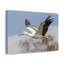 No Frame Print on Canvas-829047342
