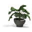 Luna Planter-921280415-921280427