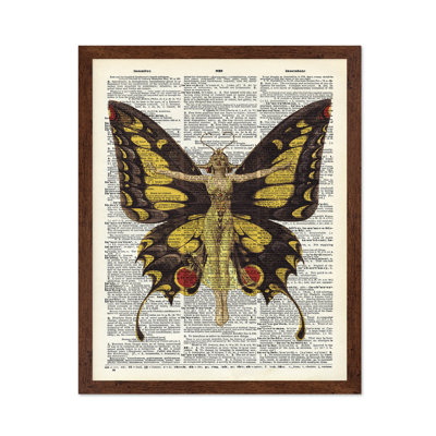Queen of Butterflies