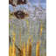 One-of-a-Kind 9' X 12' Flatweave Area Rug