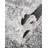 Frost Desandro Rug-618379361