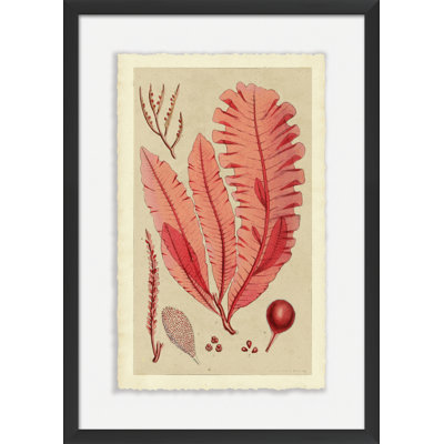 Modern Sea Grass II Painting