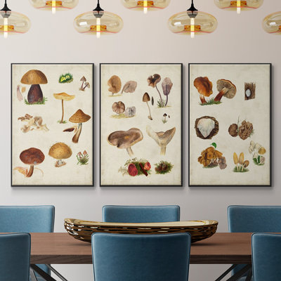 Mushroom Species I