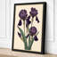Purple Iris Study Botanical - Wrapped Canvas-1043471880-1043471881